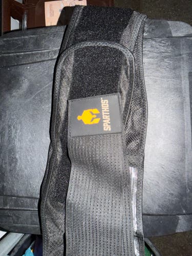 Back brace
