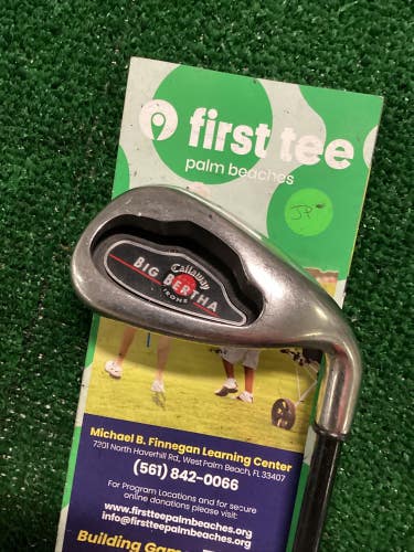 Callaway Big Bertha 2002 10 Iron PW Regular Graphite Shaft
