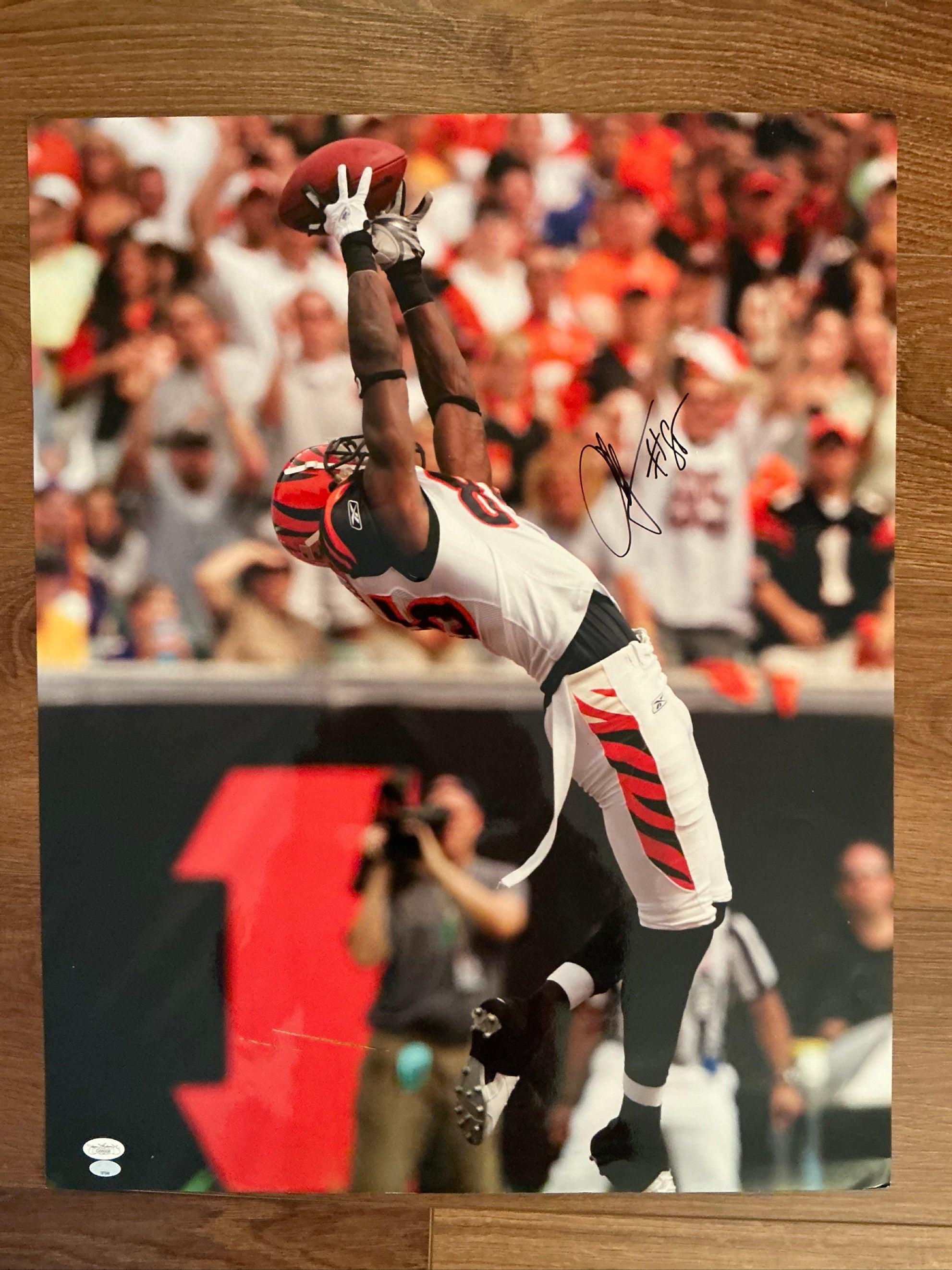 Chad Ochocinco Autographed Signed 20x25 Poster Bengals Jumping