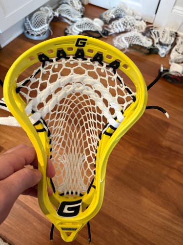 New Gait Mustang Head