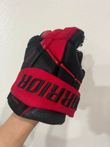 Warrior Pro Series II Gloves 10" (Used)