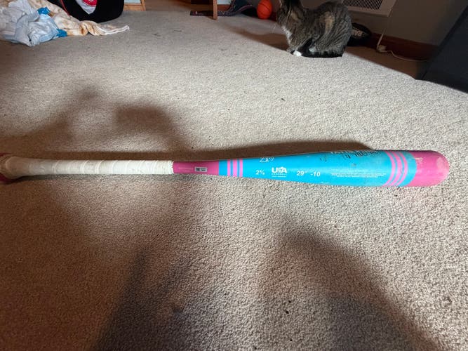 2025 Victus Tatis Maple USABat Certified Bat (-10) 19 oz 29" (Used)