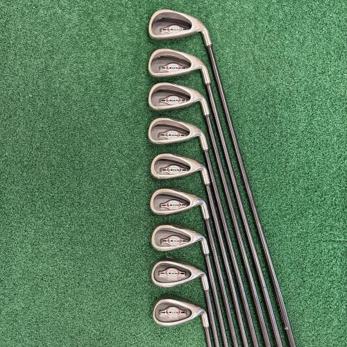 Callaway Big Bertha 2002 Iron Set 4-PW+AW+SW Men's MRH Senior Flex Graphite