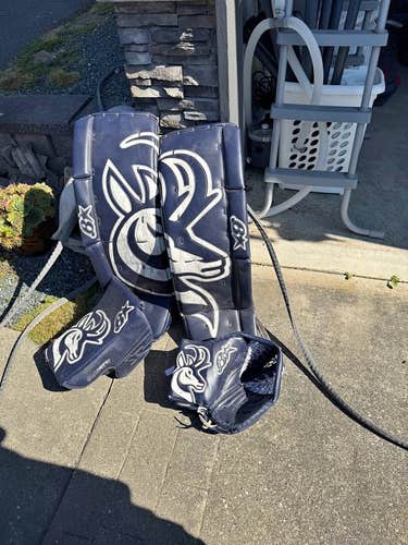 Brian's Subzero Goalie Full Set Pro Stock (34)