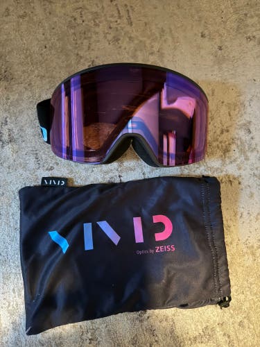 Unisex Giro Ski Goggles (Used)