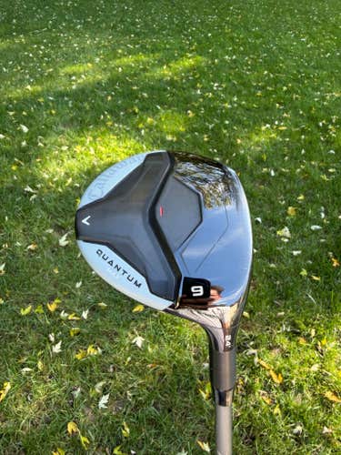 Callaway Quantum Max 9-Wood 24 Denali Frost Silver Regular Flex 41.5" +HC NICE