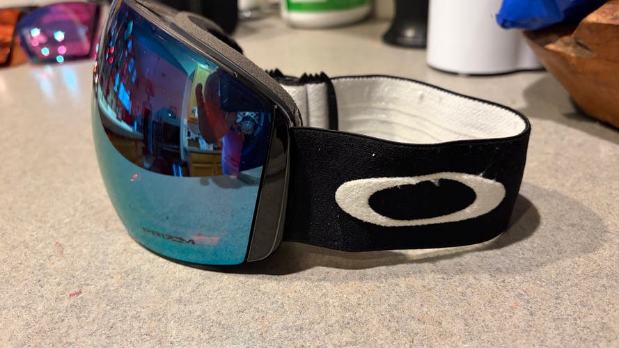 Oakley Ski Goggles Large (Used)