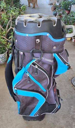 VERY NICE FOUNDERS CLUB 14 WAY CART GOLF BAG W HARD RUBBER CLUB  DIVIDERS  win10