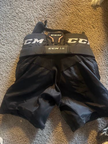 Intermediate Large CCM Axis 1.9 Hockey Goalie Pants (Used)