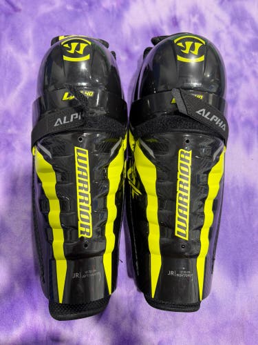 Junior Warrior Alpha LX 40 Shin Pads 13" (Used)