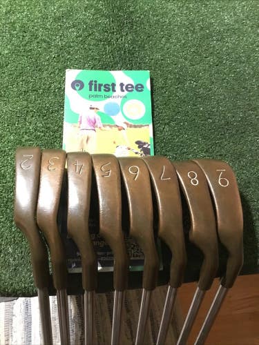 Ping Eye 2 Black Dot Beryllium Copper Irons Set (2-9 Irons) Microtaper Steel