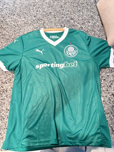 Green Medium/Large Men's Puma Jersey (Used)