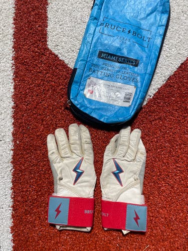 ***Youth Small Batting Gloves Bruce Bolt***