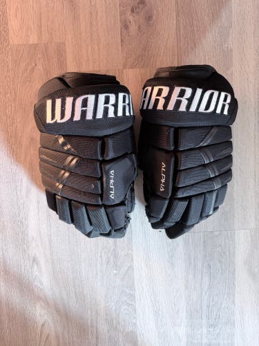 Warrior Alpha DX3 Gloves 14" (Used)