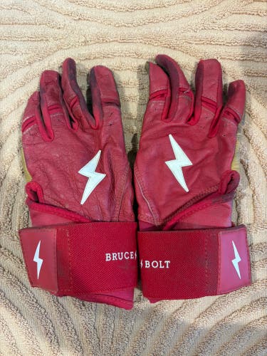 Red Youth Medium Bruce Bolt Batting Gloves (Used)