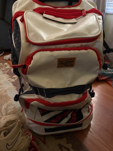 Rawlings Catcher's Bag (Used)