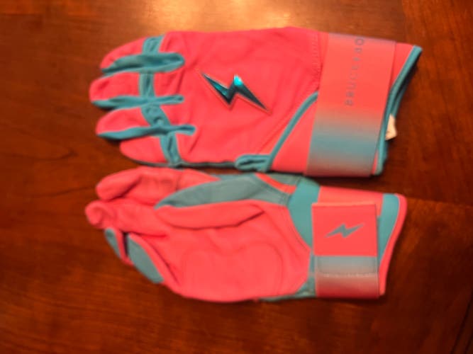 XL Creator Series Batting Gloves (Used)