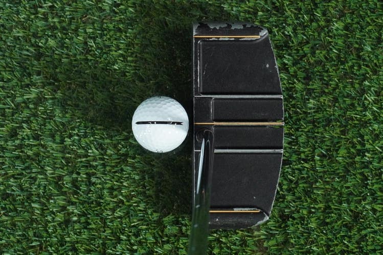 ROGER EVANS STAND-UP MALLET PUTTER 35 STEEL SHAFT LAMKIN GRIP RH ~ L@@K!!