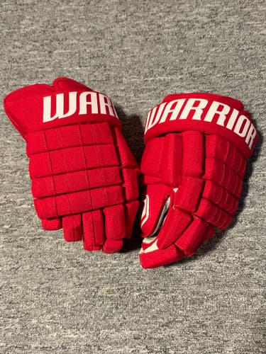 Warrior Franchise Gloves 14" pearl palms