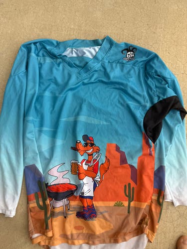 Medium/Large Men's Jersey (Used)