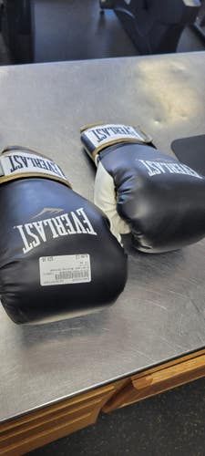 Used Everlast Boxing Gloves None LG 11497-S000162685