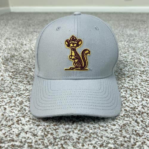 Minnesota Golden Gophers Hat Mens Medium Gray Nike Dri FIT Rise Goldy NCAA Cap