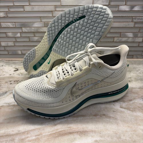Nike Pegasus Premium Sea Glass Metallic Silver US 9.5 UK 7 Women's New