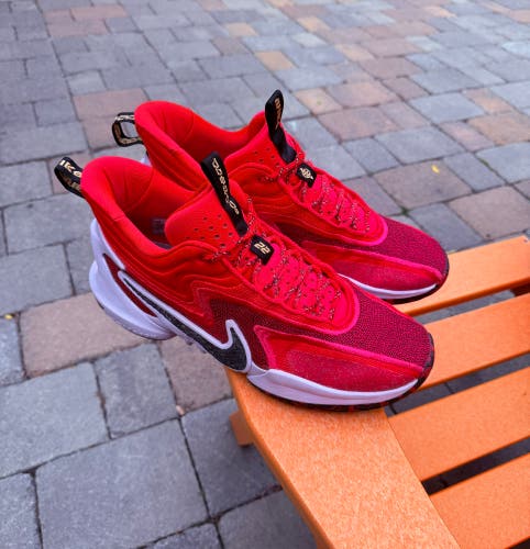 Nike Cosmic Unity 2 Hattie Rakes A'ja Wilson Red Sneakers DH1537-601 Mens Sz 13