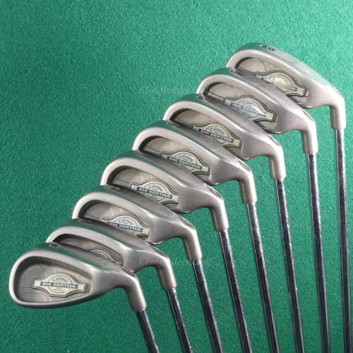 Callaway Big Bertha X-12 3-PW Iron Set TT Dynamic Gold Steel Stiff *READ*