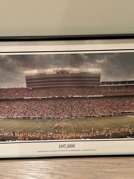 Michigan Stadium Panoramic Framed Art 107,608