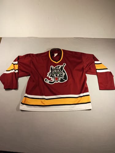 Vintage Bauer Chicago Wolves  jersey size L with signed Chicago wolves puck