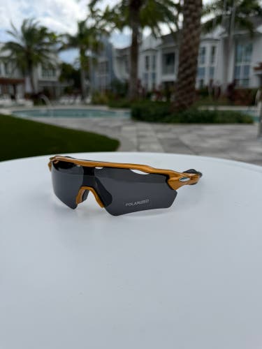 Sunglasses - Sport Style Polarized Sunglasses gold frame Black with black lens w/ case