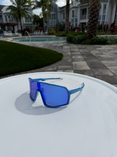 Sunglasses - Sport Style Polarized Sunglasses Blue Frame / Blue lens w/ case
