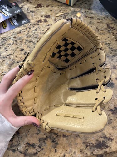 DSG RH Baseball Glove 10" (Used)