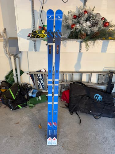 Men's Dynastar Speed WC FIS GS 193 cm Racing Skis Without Bindings (Used)