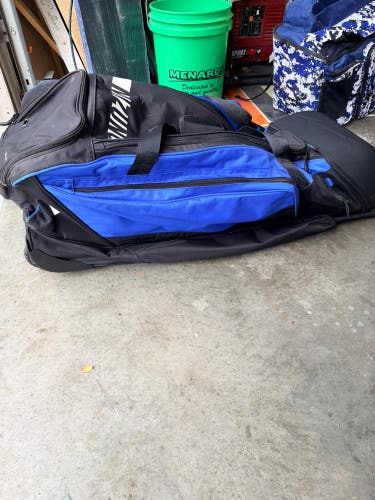 Mizuno Catcher's Bag (Used)