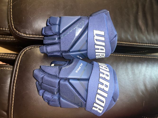 Warrior Alpha LX3 Pro Gloves 8" (Used)
