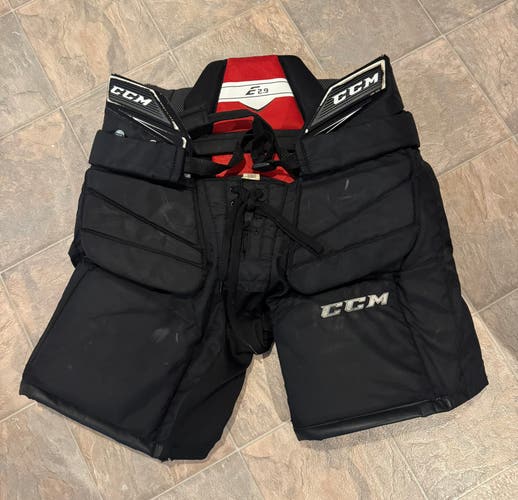 CCM E2.9 Hockey Goalie Pants (Intermediate Large)