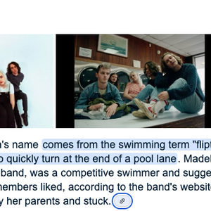 Used 2013 4FRNT Skis